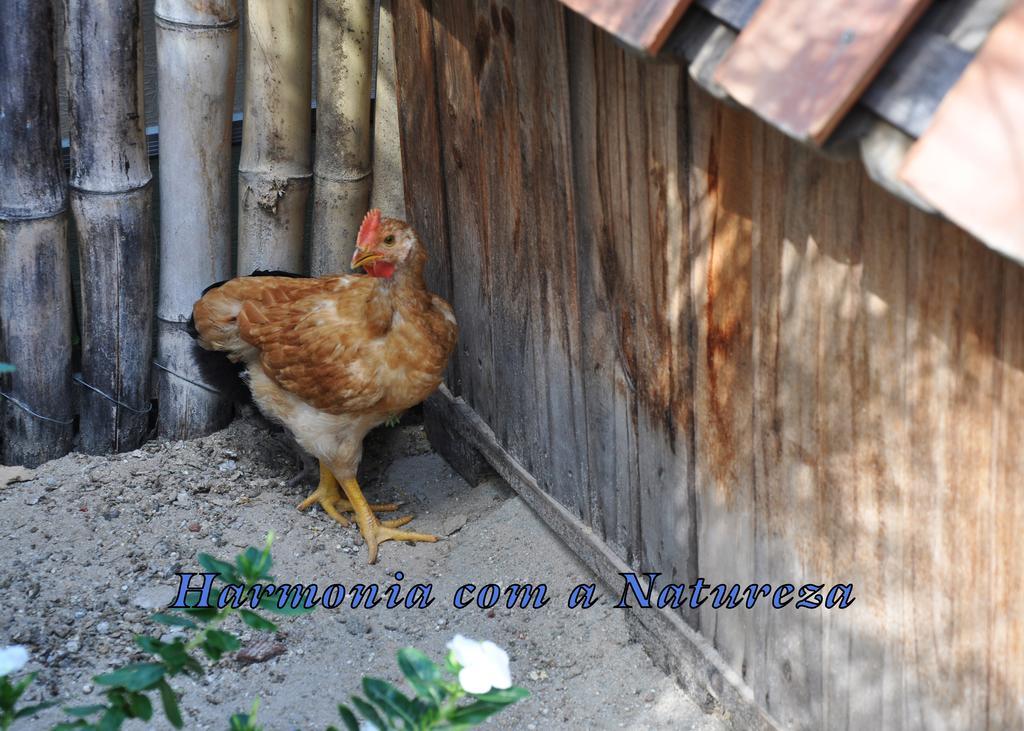 Pousada E Restaurante Do Gordo Ξενοδοχείο Bonito  Εξωτερικό φωτογραφία